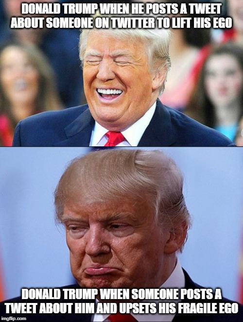 He can dish it, but he CERTAINLY can't take it... | DONALD TRUMP WHEN HE POSTS A TWEET ABOUT SOMEONE ON TWITTER TO LIFT HIS EGO; DONALD TRUMP WHEN SOMEONE POSTS A TWEET ABOUT HIM AND UPSETS HIS FRAGILE EGO | image tagged in donald trump,ego,cry baby | made w/ Imgflip meme maker