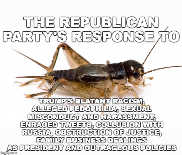 Chirp, chirp... | THE REPUBLICAN PARTY'S RESPONSE TO; TRUMP'S BLATANT RACISM, ALLEGED PEDOPHILIA, SEXUAL MISCONDUCT AND HARASSMENT, ENRAGED TWEETS, COLLUSION WITH RUSSIA, OBSTRUCTION OF JUSTICE, FAMILY BUSINESS DEALINGS AS PRESIDENT AND OUTRAGEOUS POLICIES | image tagged in cricket,trump,republican party | made w/ Imgflip meme maker