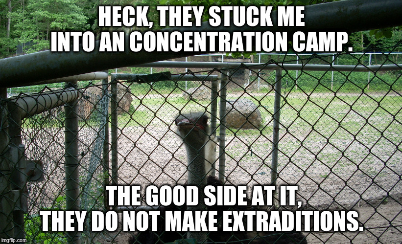 HECK, THEY STUCK ME INTO AN CONCENTRATION CAMP. THE GOOD SIDE AT IT, THEY DO NOT MAKE EXTRADITIONS. | made w/ Imgflip meme maker