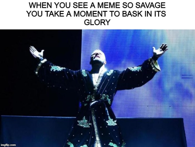 Glorious | WHEN YOU SEE A MEME SO SAVAGE
YOU TAKE A MOMENT TO BASK IN ITS 
GLORY | image tagged in glorious | made w/ Imgflip meme maker