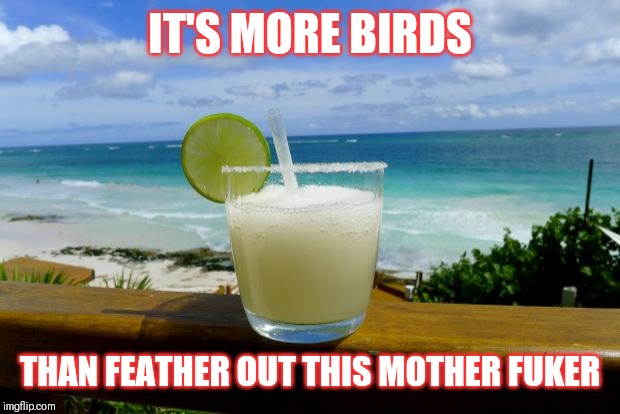 Jroc113 | IT'S MORE BIRDS; THAN FEATHER OUT THIS MOTHER FUKER | image tagged in margarita on the beach | made w/ Imgflip meme maker