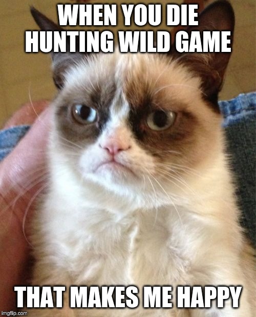 Grumpy Cat Meme | WHEN YOU DIE HUNTING WILD GAME; THAT MAKES ME HAPPY | image tagged in memes,grumpy cat | made w/ Imgflip meme maker