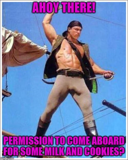 Pirate | AHOY THERE! PERMISSION TO COME ABOARD FOR SOME MILK AND COOKIES? | image tagged in pirate | made w/ Imgflip meme maker