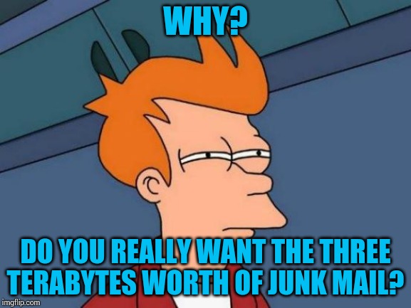 WHY? DO YOU REALLY WANT THE THREE TERABYTES WORTH OF JUNK MAIL? | image tagged in memes,futurama fry | made w/ Imgflip meme maker