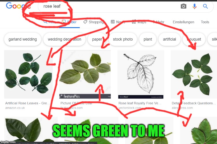 SEEMS GREEN TO ME | made w/ Imgflip meme maker