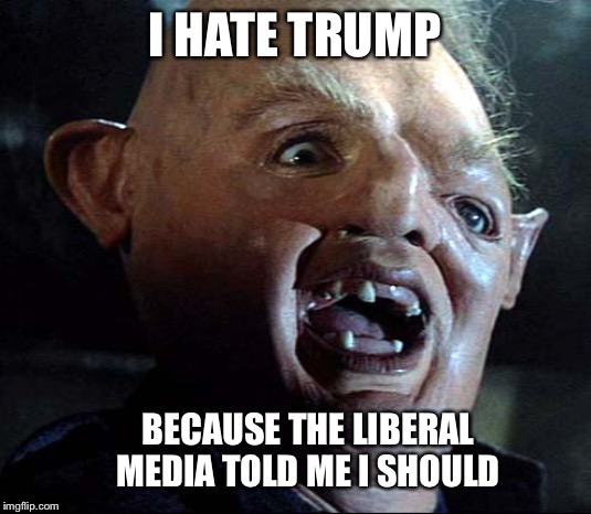Retarded Liberal Sheep | I HATE TRUMP; BECAUSE THE LIBERAL MEDIA TOLD ME I SHOULD | image tagged in retarded retrasado,memes | made w/ Imgflip meme maker