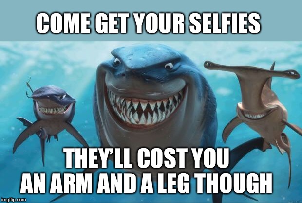 Finding Nemo Sharks | THEY’LL COST YOU AN ARM AND A LEG THOUGH COME GET YOUR SELFIES | image tagged in finding nemo sharks | made w/ Imgflip meme maker