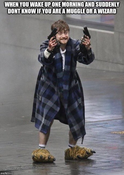 Harry Potter Guns | WHEN YOU WAKE UP ONE MORNING AND SUDDENLY DONT KNOW IF YOU ARE A MUGGLE OR A WIZARD | image tagged in harry potter guns | made w/ Imgflip meme maker