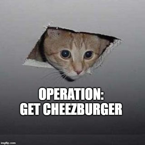 Ceiling Cat | OPERATION: GET CHEEZBURGER | image tagged in memes,ceiling cat | made w/ Imgflip meme maker