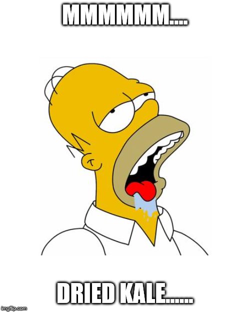 Homer Simpson Drooling | MMMMMM.... DRIED KALE...... | image tagged in homer simpson drooling | made w/ Imgflip meme maker