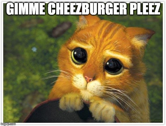 Shrek Cat Meme | GIMME CHEEZBURGER PLEEZ | image tagged in memes,shrek cat | made w/ Imgflip meme maker