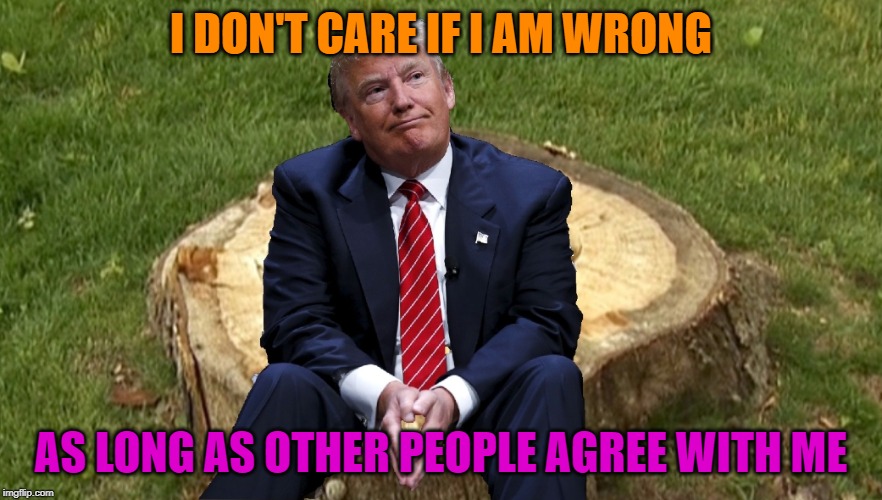 Trump logic | I DON'T CARE IF I AM WRONG; AS LONG AS OTHER PEOPLE AGREE WITH ME | image tagged in trump on a stump | made w/ Imgflip meme maker