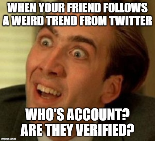 WHEN YOUR FRIEND FOLLOWS
A WEIRD TREND FROM TWITTER; WHO'S ACCOUNT?
ARE THEY VERIFIED? | image tagged in twitter | made w/ Imgflip meme maker