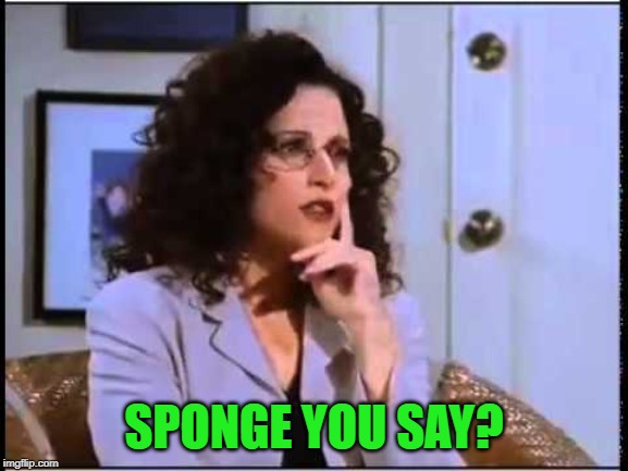 elaine sponge | SPONGE YOU SAY? | image tagged in elaine sponge | made w/ Imgflip meme maker