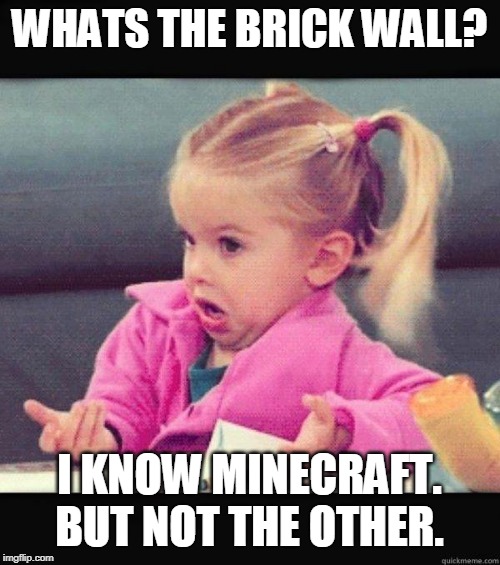I dont know girl | WHATS THE BRICK WALL? I KNOW MINECRAFT. BUT NOT THE OTHER. | image tagged in i dont know girl | made w/ Imgflip meme maker