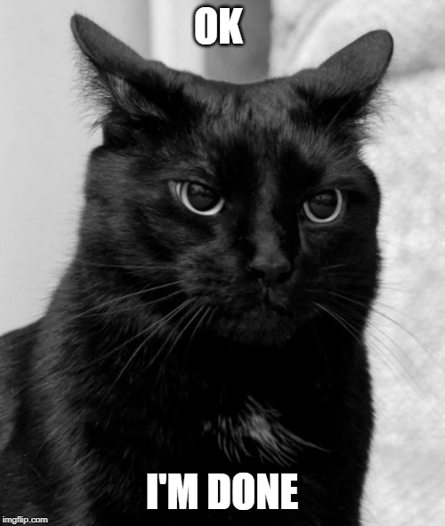 Black cat pissed | OK I'M DONE | image tagged in black cat pissed | made w/ Imgflip meme maker