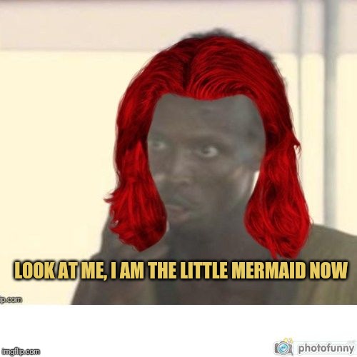 Little Mermaid | LOOK AT ME, I AM THE LITTLE MERMAID NOW | image tagged in little mermaid | made w/ Imgflip meme maker