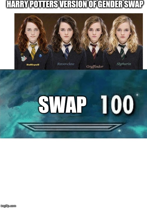 Skyrim 100 Blank | HARRY POTTERS VERSION OF GENDER SWAP; SWAP | image tagged in skyrim 100 blank | made w/ Imgflip meme maker