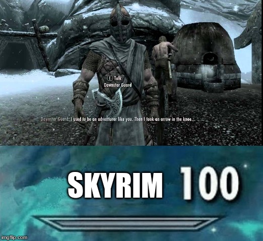 SKYRIM | image tagged in 100 | made w/ Imgflip meme maker