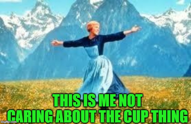 Look At All These Meme | THIS IS ME NOT CARING ABOUT THE CUP THING | image tagged in memes,look at all these | made w/ Imgflip meme maker