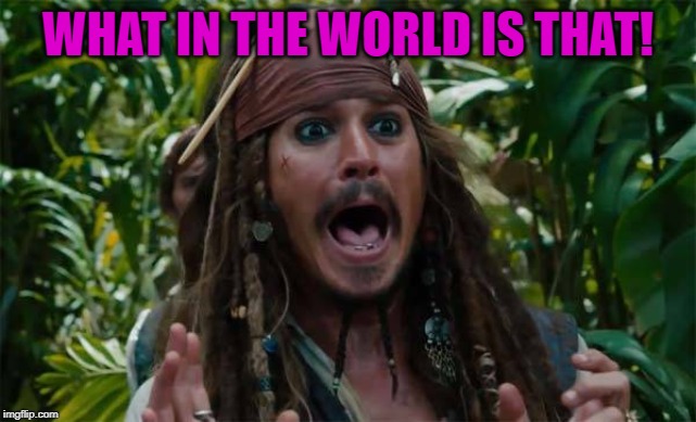 Capt Jack Sparrow Ahhh | WHAT IN THE WORLD IS THAT! | image tagged in capt jack sparrow ahhh | made w/ Imgflip meme maker