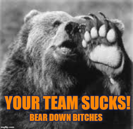Your Team Sucks | YOUR TEAM SUCKS! BEAR DOWN BITCHES | image tagged in bear down,da bears,go bears,bears,chicago bears | made w/ Imgflip meme maker