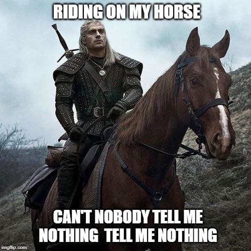 Horse riding | RIDING ON MY HORSE; CAN'T NOBODY TELL ME NOTHING  TELL ME NOTHING | image tagged in horses | made w/ Imgflip meme maker