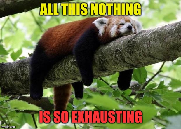 Lazy Red Panda | ALL THIS NOTHING IS SO EXHAUSTING | image tagged in lazy red panda | made w/ Imgflip meme maker