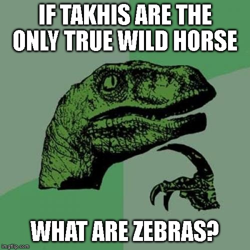 Philosoraptor Meme | IF TAKHIS ARE THE ONLY TRUE WILD HORSE; WHAT ARE ZEBRAS? | image tagged in memes,philosoraptor | made w/ Imgflip meme maker