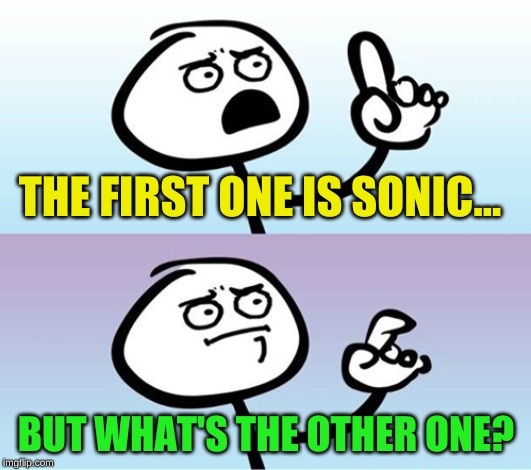 Can't argue with that / technically not wrong | THE FIRST ONE IS SONIC... BUT WHAT'S THE OTHER ONE? | image tagged in can't argue with that / technically not wrong | made w/ Imgflip meme maker