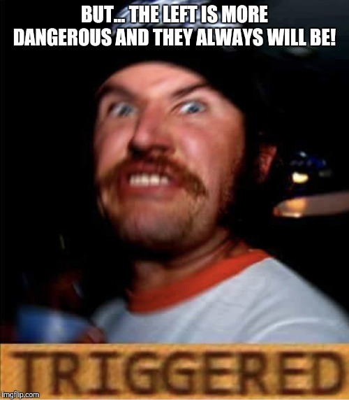 Triggered Conservative | BUT... THE LEFT IS MORE DANGEROUS AND THEY ALWAYS WILL BE! | image tagged in triggered conservative | made w/ Imgflip meme maker
