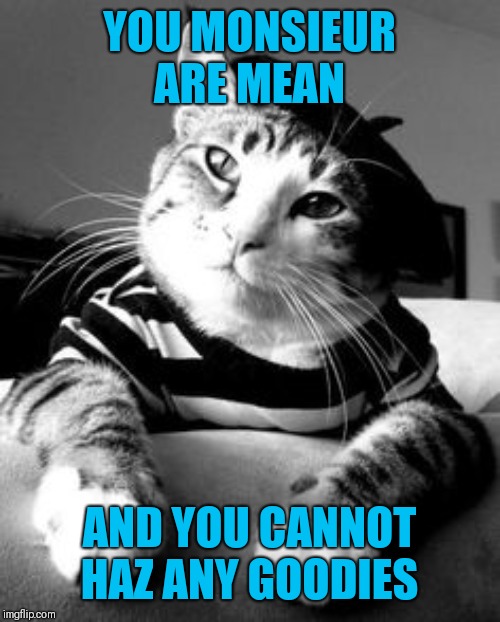 French Cat | YOU MONSIEUR ARE MEAN AND YOU CANNOT HAZ ANY GOODIES | image tagged in french cat | made w/ Imgflip meme maker