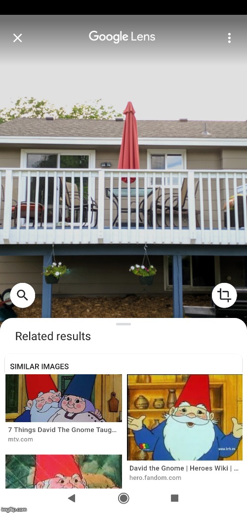Google Lens | image tagged in google images,google,google search | made w/ Imgflip meme maker
