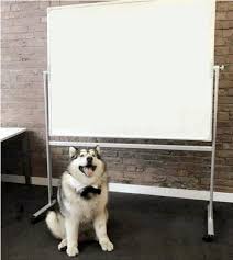 Whiteboard Dog Blank Meme Template