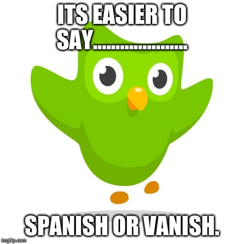 things duolingo teaches you | ITS EASIER TO SAY..................... SPANISH OR VANISH. | image tagged in things duolingo teaches you | made w/ Imgflip meme maker