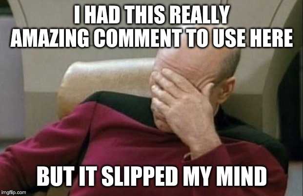 Captain Picard Facepalm Meme | I HAD THIS REALLY AMAZING COMMENT TO USE HERE BUT IT SLIPPED MY MIND | image tagged in memes,captain picard facepalm | made w/ Imgflip meme maker
