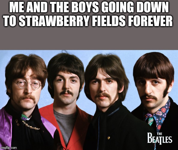 The Beatles 2001 | ME AND THE BOYS GOING DOWN TO STRAWBERRY FIELDS FOREVER | image tagged in the beatles 2001 | made w/ Imgflip meme maker