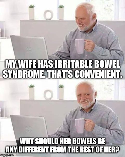 What a crap shoot | MY WIFE HAS IRRITABLE BOWEL SYNDROME. THAT'S CONVENIENT. WHY SHOULD HER BOWELS BE ANY DIFFERENT FROM THE REST OF HER? | image tagged in memes,hide the pain harold,health | made w/ Imgflip meme maker