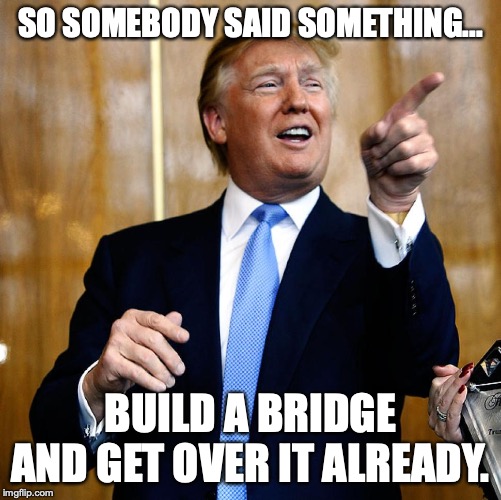 If someone can do something, why can't someone say something, ya crybabies? | SO SOMEBODY SAID SOMETHING... BUILD A BRIDGE AND GET OVER IT ALREADY. | image tagged in 2019,liberals,idiots,butthurt,america,maga | made w/ Imgflip meme maker