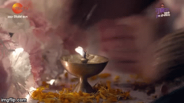 image tagged in gifs | made w/ Imgflip video-to-gif maker