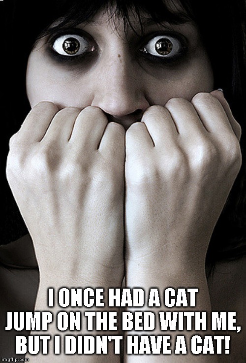 Fear | I ONCE HAD A CAT JUMP ON THE BED WITH ME, BUT I DIDN'T HAVE A CAT! | image tagged in fear | made w/ Imgflip meme maker