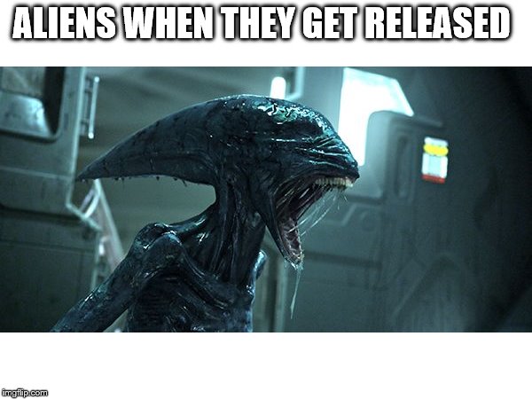 alien happy birthday | ALIENS WHEN THEY GET RELEASED | image tagged in alien happy birthday | made w/ Imgflip meme maker