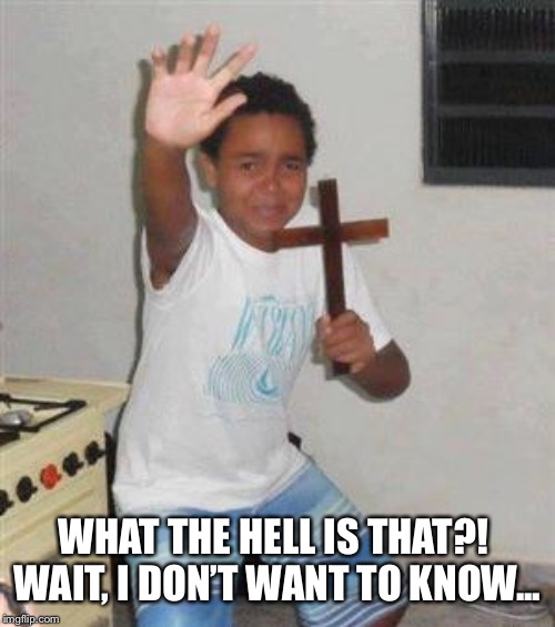 Scared Kid | WHAT THE HELL IS THAT?!  WAIT, I DON’T WANT TO KNOW... | image tagged in scared kid | made w/ Imgflip meme maker