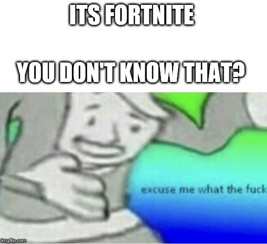 Excuse me wtf blank template | ITS FORTNITE YOU DON'T KNOW THAT? | image tagged in excuse me wtf blank template | made w/ Imgflip meme maker