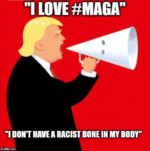RACIST-IN-CHIEF | "I DON'T HAVE A RACIST BONE IN MY BODY" | image tagged in racist-in-chief,maga-kkk,trump approves racism | made w/ Imgflip meme maker