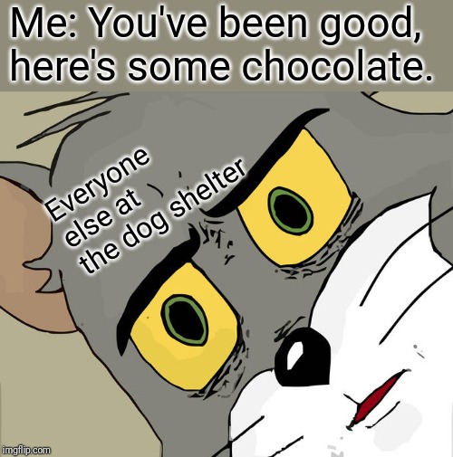 Thought of this while I was watching a movie. Lol | Me: You've been good, here's some chocolate. Everyone else at the dog shelter | image tagged in memes,unsettled tom | made w/ Imgflip meme maker