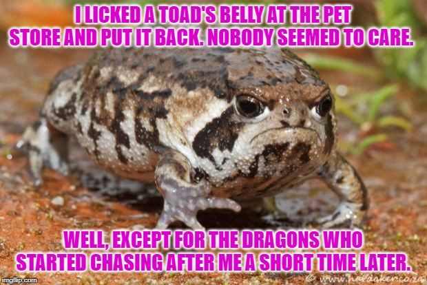 Ice Cream Challenge | I LICKED A TOAD'S BELLY AT THE PET STORE AND PUT IT BACK. NOBODY SEEMED TO CARE. WELL, EXCEPT FOR THE DRAGONS WHO STARTED CHASING AFTER ME A SHORT TIME LATER. | image tagged in memes,grumpy toad,ice cream | made w/ Imgflip meme maker