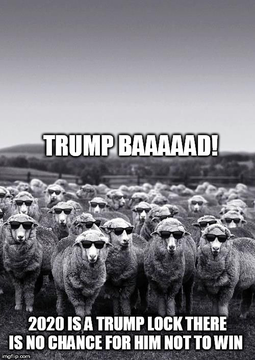 sheep | TRUMP BAAAAAD! 2020 IS A TRUMP LOCK THERE IS NO CHANCE FOR HIM NOT TO WIN | image tagged in sheep | made w/ Imgflip meme maker