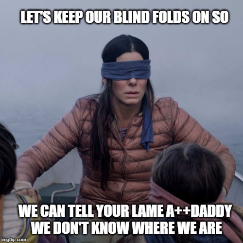 blind fold | LET'S KEEP OUR BLIND FOLDS ON SO; WE CAN TELL YOUR LAME A++DADDY  WE DON'T KNOW WHERE WE ARE | image tagged in memes,bird box | made w/ Imgflip meme maker