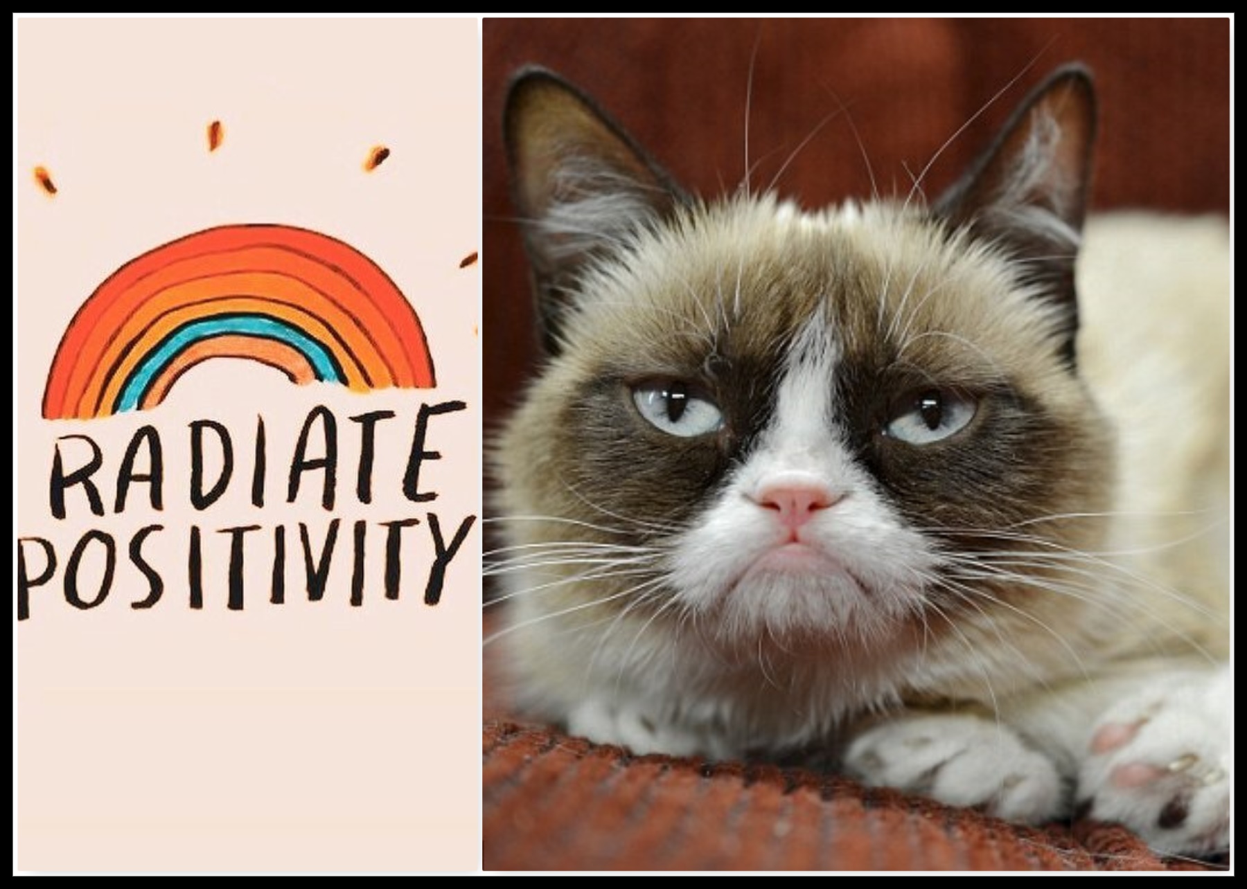 GRUMPY VS POSITIVITY Blank Meme Template